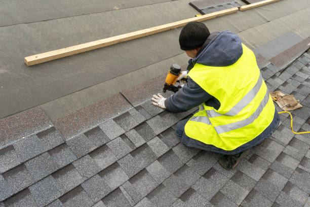 Best Storm Damage Roof Repair  in St Johns, MI