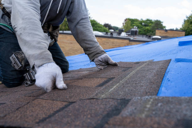 Best Local Roofing Companies  in St Johns, MI