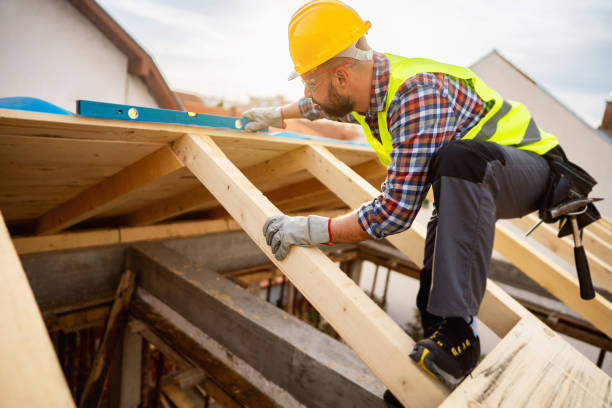 Roof Gutter Cleaning in St Johns, MI