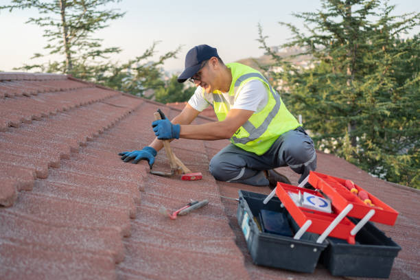 Roof Installation Near Me in St Johns, MI